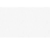 A.S. Création 2020 951014 Paintable Non-Woven Wallpaper