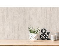 A.S. Création 386142 Scandinavian Pampas Grass Wallpaper Swedish Grey Beige Non-Woven Wallpaper 10.05 x 0.53 m Made in Germany