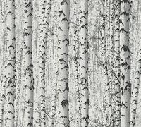 A.S. Création Birch Forest Self-Adhesive Wallpaper Forest Black White Natural Wallpaper Grey 0.52 x 2.5 m Made in Germany