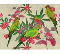A.S. Création Birds The Wall Non-Woven Wallpaper 3.71 m x 2.80 m Green Pink Red Made in Germany 382541 382541