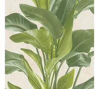 A.S. Creation Botanical Garden Plant Leaf Leaves Trail Vinyl Cream Green Wallpaper A.S. Creation Cream