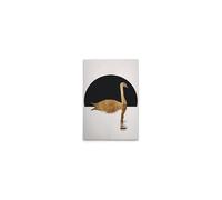 A.S. Création DD131757 Canvas Picture Swan Black Gold Wall Picture in Cream Black 40 x 60 cm