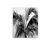 A.S. Création DD131783 Palm Tree Canvas Picture 40 x 50 cm Black/White