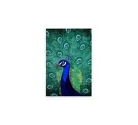 A.S. Création DD131883 Peacock Canvas Picture 50 x 75 cm Green Blue