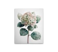 A.S. Création DD132921 Canvas Picture Hydrangea Rose - Wall Picture in Green/White - 40 x 50 cm