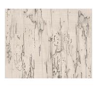 A.S. Creation Distressed Beech Wood Bark Panel Faux Effect Embossed Wallpaper in Brown A.S. Creation Brown