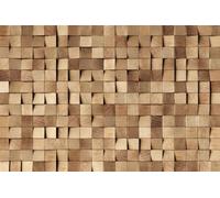 A.S. Création Graphical Wallpaper Wood 3,75 m x 2,50 m - WALLLOVE Graphical Wallpaper Wood in Brown incl. Glue - DD129582