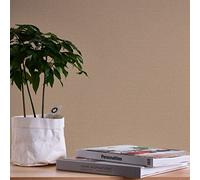 A.S. Création Nara 387443 Non-Woven Wallpaper Plain Beige Brown 10.05 m x 0.53 m Made in Germany