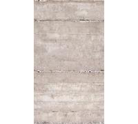 A.S. Création Photo Wallpaper Concrete Look Grey Floral Wallpaper 2.80 m x 1.59 m Living Room Modern