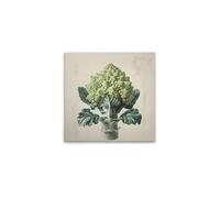 A.S. Création Romanesco DD132953 Canvas Picture in Cream Beige 50 x 50 cm Kitchen Motif