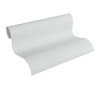 A.S. Création Terra 297327 Non-Woven Wallpaper Plain Grey 10.05 m x 0.53 m Made in Germany