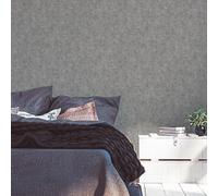 A.S. Création Terra 389223 Non-Woven Wallpaper Plain Grey 10.05 m x 0.53 m Made in Germany