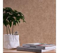 A.S. Création Terra 389229 Non-Woven Wallpaper Plain Beige Brown Orange 10.05 m x 0.53 m Made in Germany