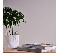 A.S. Création Terra 389255 Non-Woven Wallpaper Plain Grey 10.05 m x 0.53 m Made in Germany