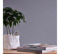 A.S. Création Terra 389258 Non-Woven Wallpaper Plain Grey 10.05 m x 0.53 m Made in Germany