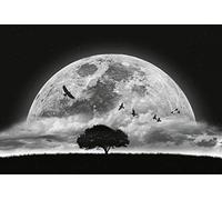 A.S. Création Wallpaper - Night Sky Full Moon Wallpaper in Black, White and Grey - Various Rooms - Non-Woven Wall Chart XXL 384 x 260 cm