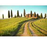 A.S. Création Wallpaper Tuscany 3,75 m x 2,50 m - WALLLOVE Wallpaper Field with Trees in Green, Brown, Blue incl. Glue - DD129579
