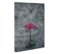A Sacred Lotus Flower Canvas Print | Gallery Wrapped 30mm Frame Wall Art | 30x20 inches | Ready to Hang | Modern Floral Picture | Living Room Bedroom Lounge Office