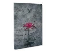 A Sacred Lotus Flower Canvas Print | Gallery Wrapped 30mm Frame Wall Art | 30x20 inches | Ready to Hang | Modern Floral Picture | Living Room Bedroom Lounge Office