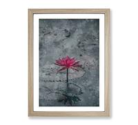 A Sacred Lotus Flower Painting Modern Framed Wall Art Print, Ready to Hang Picture for Living Room Bedroom Home Office Décor, Oak A3 (34 x 46 cm)