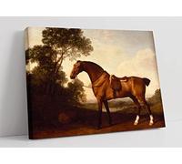 A Saddled Bay Hunter - Horse Painting Canvas Wall Art Picture Print - 24 inch wide x 16 inch high (Frame Depth 30mm)