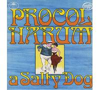 A Salty Dog - Laminated sleeve