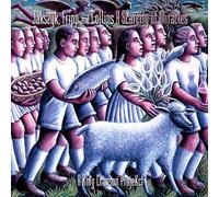 A SCARCITY OF MIRACLES- A KING CRIMSON PROJECT