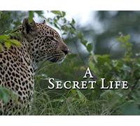A Secret Life - Part 1