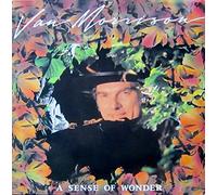 A Sense Of Wonder