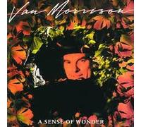 A SENSE OF WONDER LP (VINYL) UK MERCURY 1984
