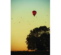 A set of 50 beautiful large high quality picture cards that invoke emotions, memories and stimulate deep thinking, and create a foundation for great ... 1 (Coaching Resources for professionals)