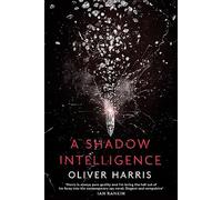 A Shadow Intelligence