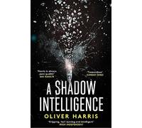 A Shadow Intelligence