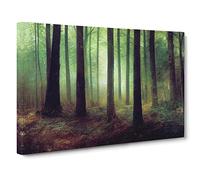 A Shimmering Forest Canvas Print | Gallery Wrapped 30mm Frame Wall Art | 30x20 inches | Ready to Hang | Contemporary Landscape Picture | Living Room Bedroom Lounge Office