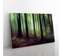 A Shimmering Forest Canvas Wall Art Print Ready to Hang, Framed Picture for Living Room Bedroom Home Office Décor, 76x50 cm (30x20 Inch)