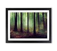 A Shimmering Forest Framed Wall Art Print A2 Black