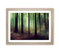 A Shimmering Forest Framed Wall Art Print A2 Oak