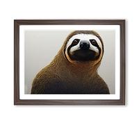 A Shimmering Sloth Framed Print | A4 Walnut Framed Wall Art | Ready to Hang | Modern Nature Picture | Living Room Bedroom Lounge Office