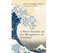 A Short Treatise on the Metaphysics of Tsunamis (Studies in Violence, Mimesis & Culture)