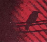 Thee Silver Mt Zion Memorial Orchestra - Born Into Trouble As The Sparks Fly Upward [VINYL]