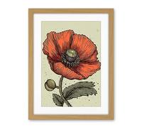 A Single Poppy Old School USA Tattoo Ink Body Art Rockabilly Americana 50s Artwork Framed Wall Art Print 18X24 Inch