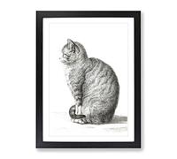 A Sitting Cat By Jean Bernard Vintage Framed Print | A4 Black Framed Wall Art | Ready to Hang | Classic Animal Picture | Living Room Bedroom Lounge Office
