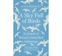 Rider – A Sky Full of Birds