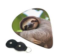 A Sloth On A Tree Branch 6 Pack Guitar Picks With Holder, Personalized Guitar Plectrums Non-Slip Portable Ukulele Bass Picks 0.71mm For Acoustic Guitar Lovers Gifts