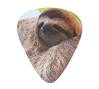 A Sloth on a Tree Branch Printed Guitar Picks Personalized Guitar Plectrums 12 Pcs For Acoustic Guitar Electric Guitar And Bass Bulk Guitar Pick One Size