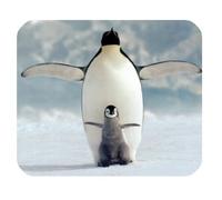 A Small Penguin and His Dad Together Customized Rectangle Mouse Pad