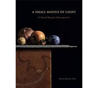 A Small Radius of Light : G. Daniel Massad, A Retrospective