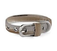 A Small Reed Frog Pet Collar, Adjustable Dog Collars with Buckle Stainless Steel D-Ring, Comfortable Collar for Small Medium Dogs and Cats