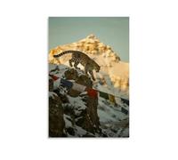 A Snow Leopard Leaping from A Snow-capped Cliff, Claws Gripping A Fluttering Prayer Flag, with The Sunlit Golden Mountain in The Background Fashionable Wall Decor - Hanging Art Poster And Mural20x30in