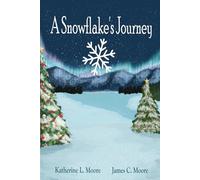 A Snowflake's Journey